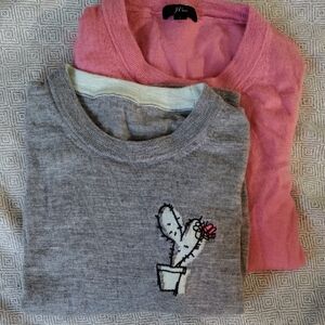 J. Crew Gray Cactus Embroidered and Pink Silky SOFT 100% Merino Wool Shirt Set